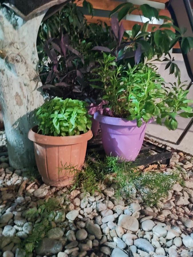 Katerina'S Apartment Cozy And Comfortable Place Nafplio Luaran gambar